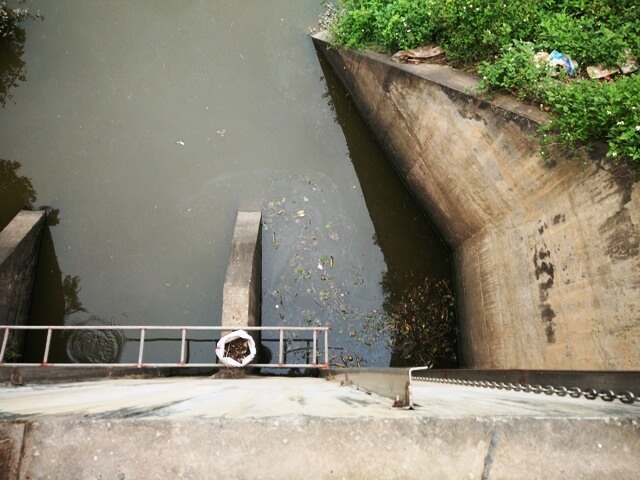 Sông Đấy nước bị ô nhiễm nghiêm trọng